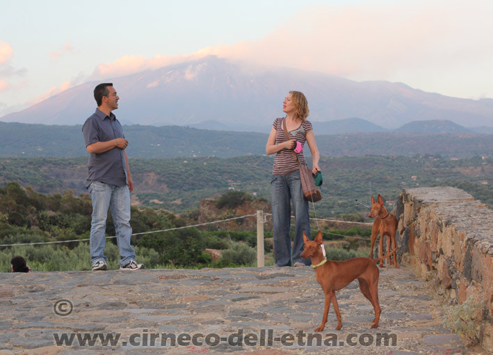 Etna, siciliaanse taal, siciliaanse honden